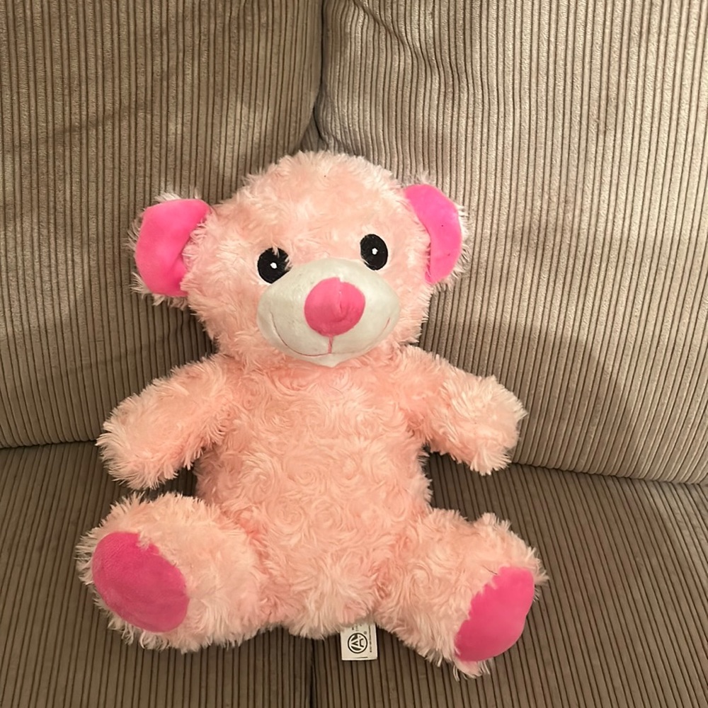Pink TeddyBear